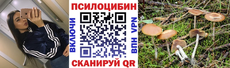 Псилоцибиновые грибы ЛСД  Олонец 